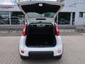 Fiat Panda Pandina 1,0 GSE Klimaanlage PDC M+S Weiß - thumbnail 6