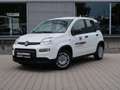 Fiat Panda Pandina 1,0 GSE Klimaanlage PDC M+S Weiß - thumbnail 2