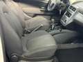 Fiat Punto Evo 3p 1.4 Dynamic Gpl 77cv - thumbnail 10
