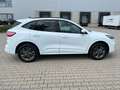 Ford Kuga ST-LINE X 2.5 PHEV LED+NAV+HUD+RFK+TWA PDC Blanc - thumbnail 8