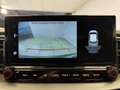 Kia XCeed 1.0 tgdi Gpl Business 117cv Vert - thumbnail 23