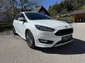 Ford Focus ST Line Weiß - thumbnail 1