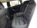 Mazda 6 2.2 Exclusive-Line Autom.,Tempom.,Navi Weiß - thumbnail 14