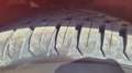 Hyundai i10 1.0 GPL Econext Tech Naranja - thumbnail 19