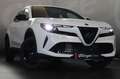 Alfa Romeo Junior Ibrida  1.2 MHEV e-DCT6 Weiß - thumbnail 16