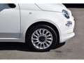 Fiat 500 1.0 Hybrid REGUL PDC 1 MAIN Blanc - thumbnail 5