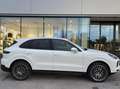 Porsche Cayenne Cayenne III 2018 3.0 tiptronic Bianco - thumbnail 1