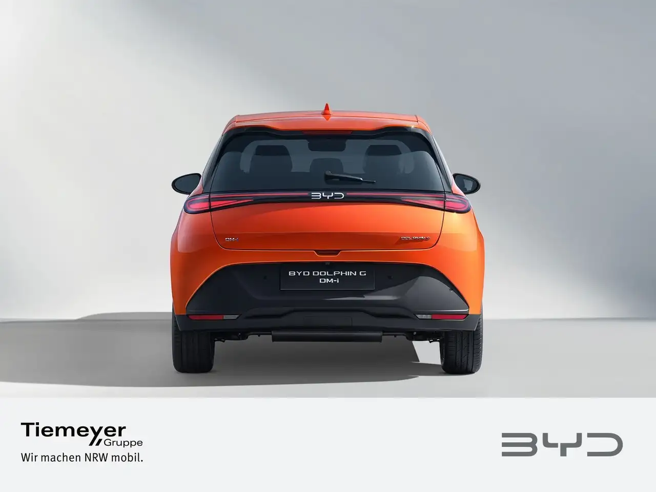 BYD DOLPHIN