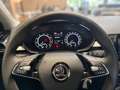 Skoda Fabia Selection 1.0 MPI PDC SHZ LED ESP DAB FRONT ASSIST Grau - thumbnail 17