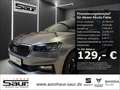 Skoda Fabia Selection 1.0 MPI PDC SHZ LED ESP DAB FRONT ASSIST Grigio - thumbnail 2