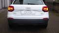 Audi Q2 35 TDI quattro S-Tronic Bianco - thumbnail 6