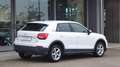 Audi Q2 35 TDI quattro S-Tronic Bianco - thumbnail 3