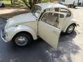 Volkswagen Maggiolino A.S.I - thumbnail 2