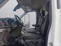 Ford Transit 350 2.0TDCI(L3H3)SENSORI-CRUISE-ASSISTENZA FRENATA Bianco - thumbnail 25