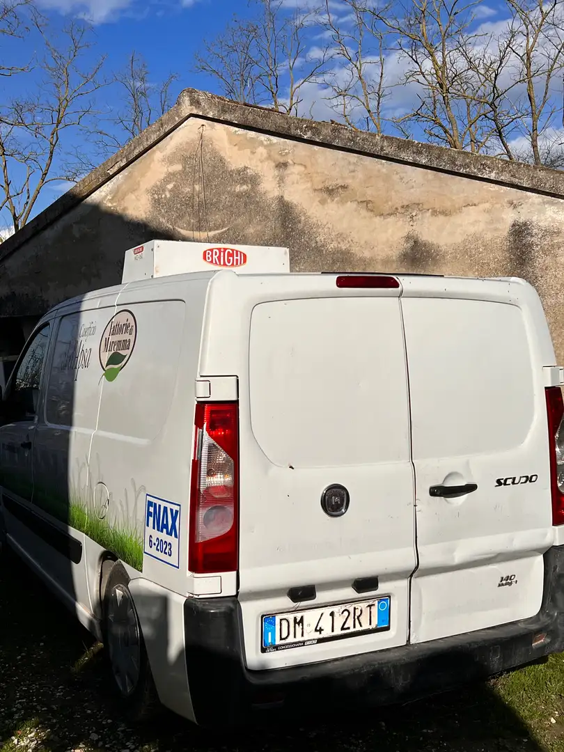 Fiat Scudo furgone con frigorifero Bílá - 1