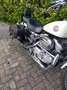 Harley-Davidson Sportster 883 Beyaz - thumbnail 3