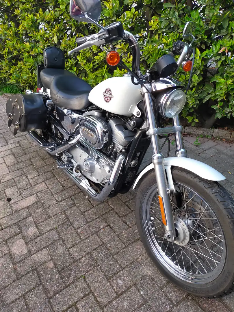 Harley-Davidson Sportster 883 White - 2