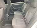 Skoda Octavia Combi TDI First-Edition DSG LED Navi PDC SH Weiß - thumbnail 12