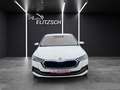 Skoda Octavia Combi TDI First-Edition DSG LED Navi PDC SH Weiß - thumbnail 9