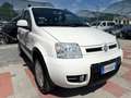Fiat Panda 1.2 4x4 Climbing Blanc - thumbnail 7