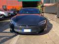 Tesla Model S Model S 100kWh Performance Dual Motor AWD Grigio - thumbnail 1