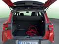 Opel Frontera 1.2T XHT Hybrid eDCT6 S/S GS 110 Gris - thumbnail 14