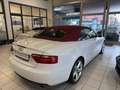 Audi A5 1.8 TFSI/Cabrio/S-Line Blanc - thumbnail 7
