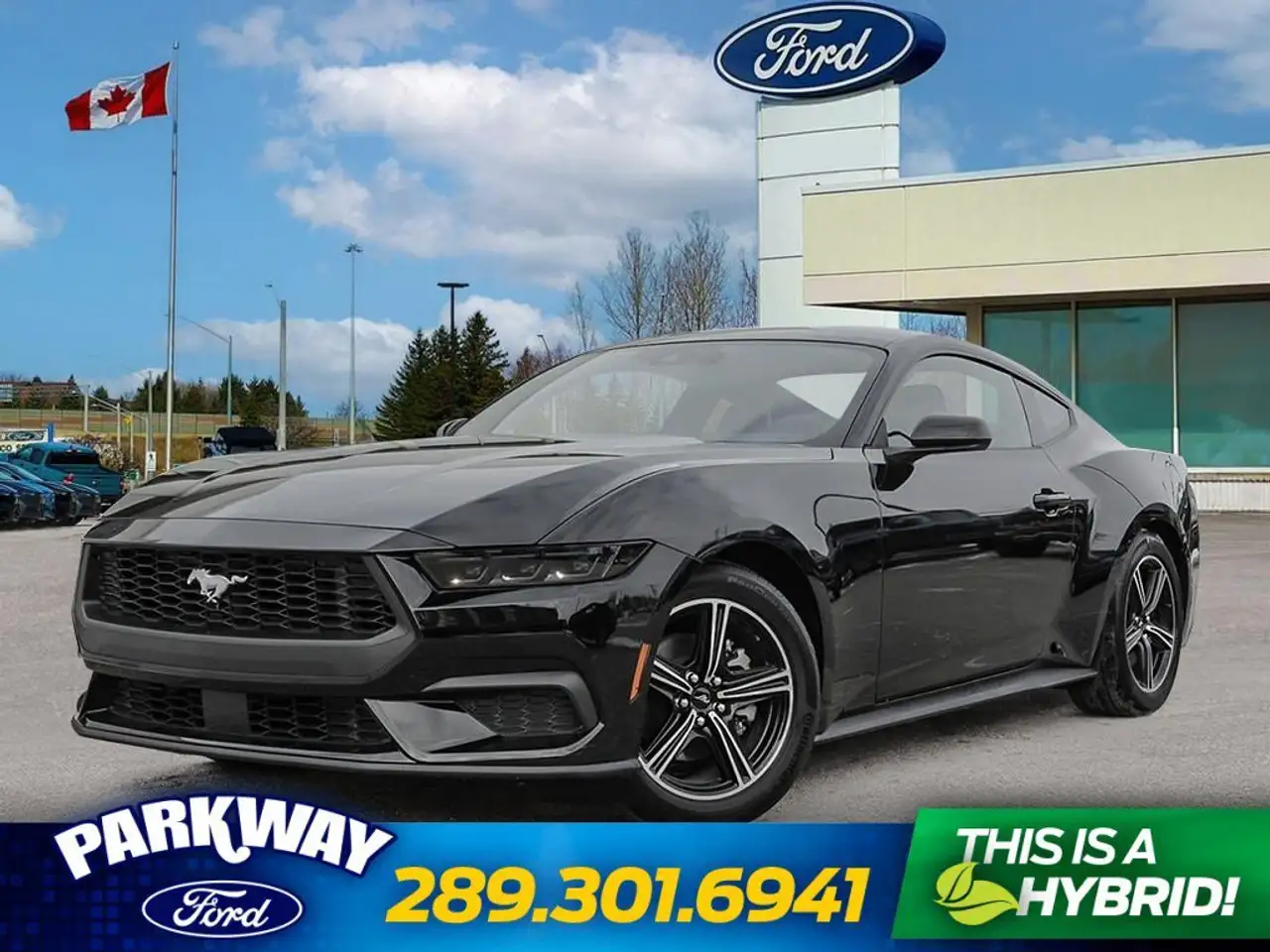 2026 Ford Mustang