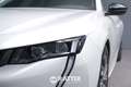 Peugeot 508 SW 1.6 hybrid phev 225CV Allure Pack e-eat8 Bílá - thumbnail 3