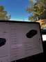 Tesla Model 3 Standard RWD Plus - thumbnail 8