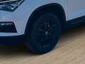 SEAT Ateca Xcellence 150PS DSG + neue Sommerreifen Weiß - thumbnail 16
