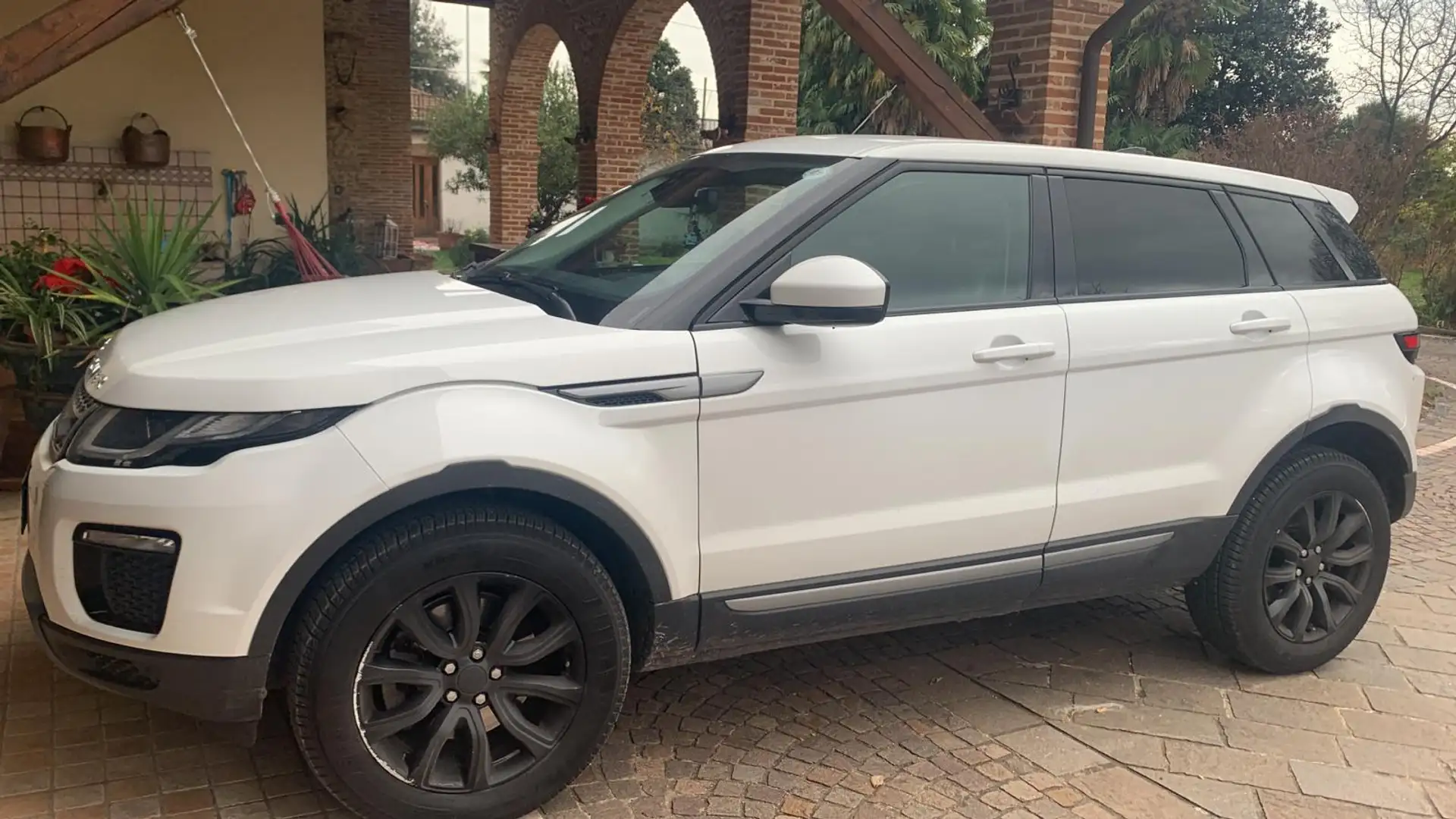 Rover Rover Weiß - 2