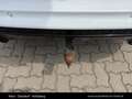Ford Kuga 2.0 TDCi ST Line Powershift Aut. Weiß - thumbnail 10