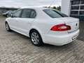 Skoda Superb Ambition Weiß - thumbnail 6