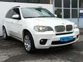 BMW X5 xDrive40d M Sport 7 Sitzer Leder Navi PDC Weiß - thumbnail 2