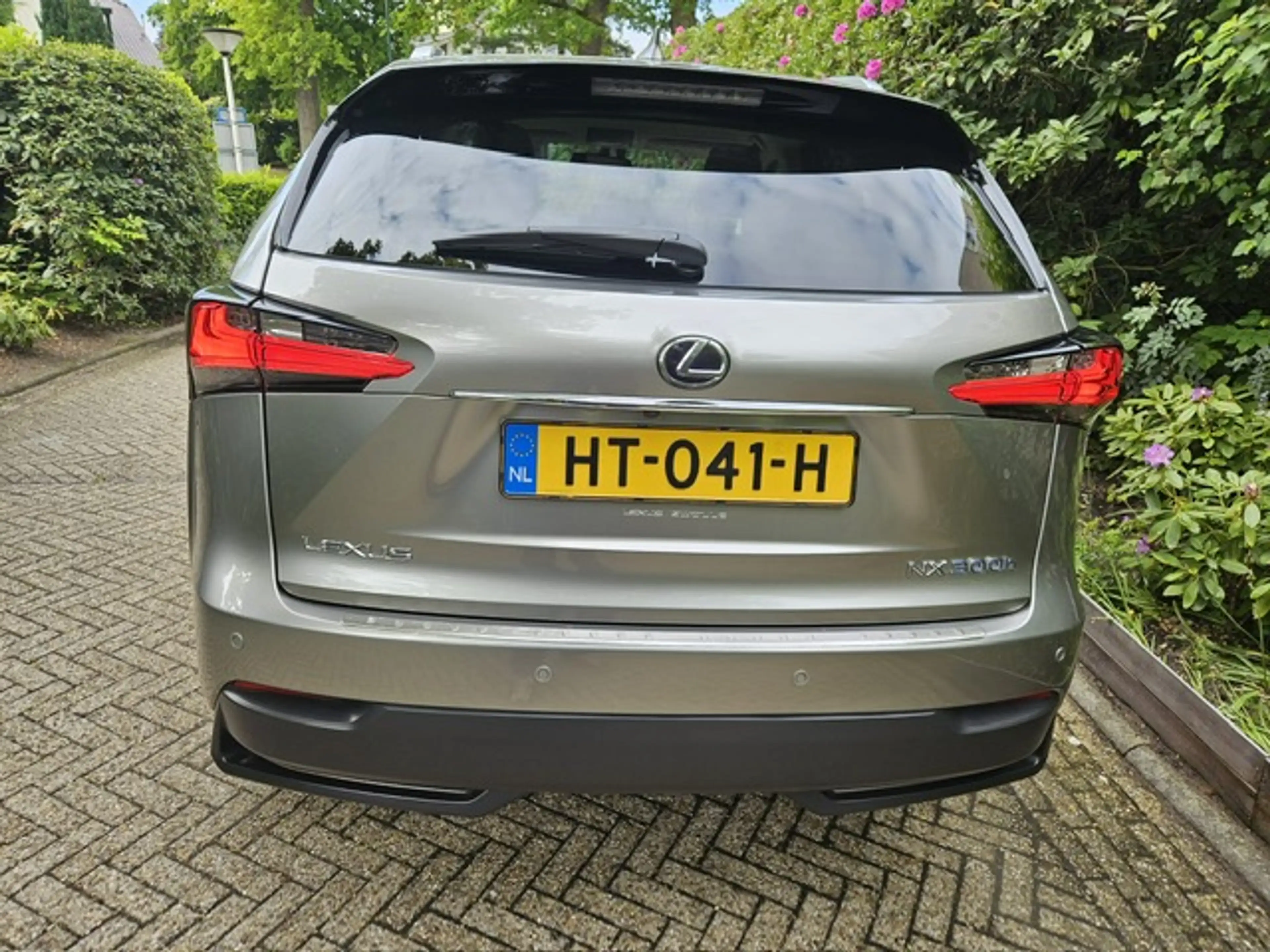 Lexus NX 300h 25th Edition NL auto — photo 7