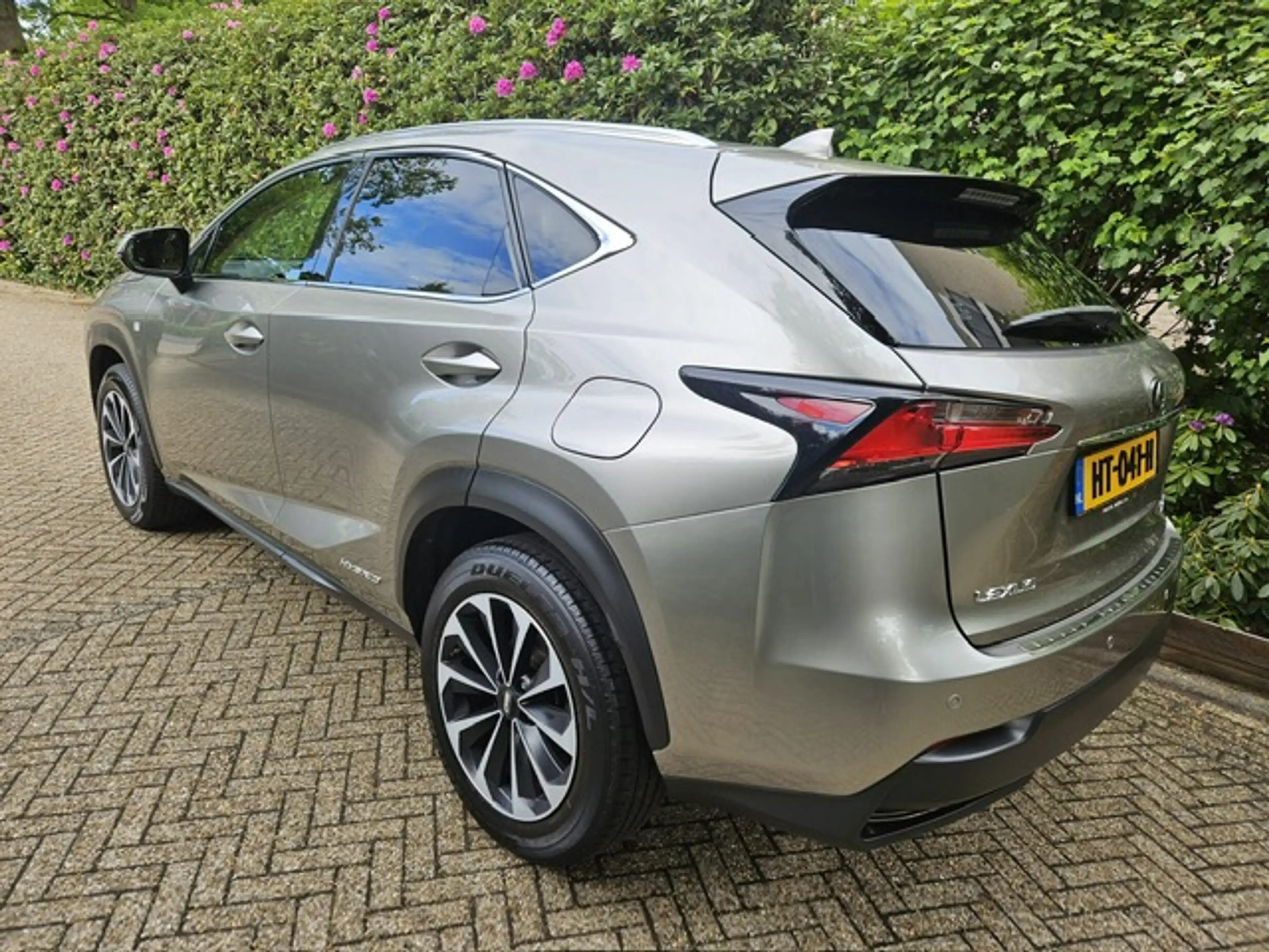Lexus NX 300h 25th Edition NL auto — photo 6