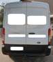 Ford Transit Bus L2H2 Weiß - thumbnail 3