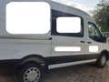 Ford Transit Bus L2H2 Weiß - thumbnail 2