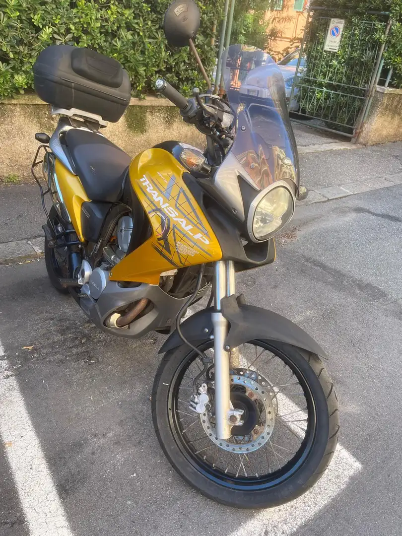 Honda Transalp Giallo - 1