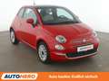Fiat 500 1.0 Mild-Hybrid Dolcevita*PANO*KLIMA*TEMPO* Rot - thumbnail 8