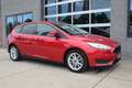 Ford Focus 1.0 Ecoboost 126 Pk Automaat Trend Edition Navigat Rojo - thumbnail 12