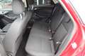Ford Focus 1.0 Ecoboost 126 Pk Automaat Trend Edition Navigat Rojo - thumbnail 15