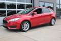 Ford Focus 1.0 Ecoboost 126 Pk Automaat Trend Edition Navigat Rojo - thumbnail 2