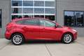 Ford Focus 1.0 Ecoboost 126 Pk Automaat Trend Edition Navigat Rojo - thumbnail 10