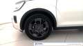 Suzuki Ignis 1.2h Top 2wd Bianco - thumbnail 9