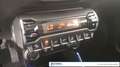 Suzuki Ignis 1.2h Top 2wd Bianco - thumbnail 16