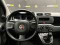 Fiat Panda 1.0 5 POSTI*HYBRID*PREZZO REALE* Grigio - thumbnail 6