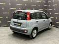 Fiat Panda 1.0 5 POSTI*HYBRID*PREZZO REALE* Grigio - thumbnail 3