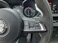 Alfa Romeo Stelvio Quadrifoglio 2.9 V6 Bi-Turbo*P.-Dach - thumbnail 22